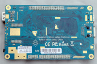 Close up Pine 64 BACK